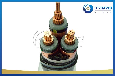 tano cable mv 3 core  50mm power cable