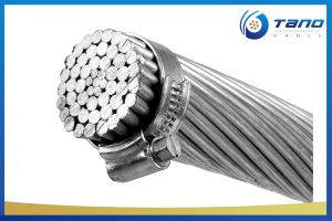 All Aluminum Alloy Conductor (AAAC) Cables